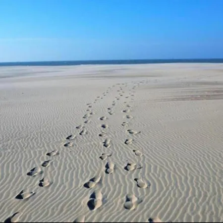 Apartment In Nieuwpoort With Ocean Views, Cleaning Included 아파트 *
